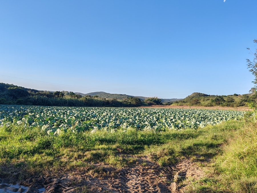 3 Bedroom Property for Sale in Komga Rural Eastern Cape